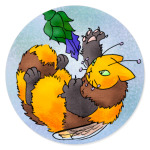 Пчёлокот - закогти!