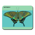 Бабочка Парусник - Махаон