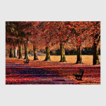 Фото природы