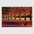 Фото природы