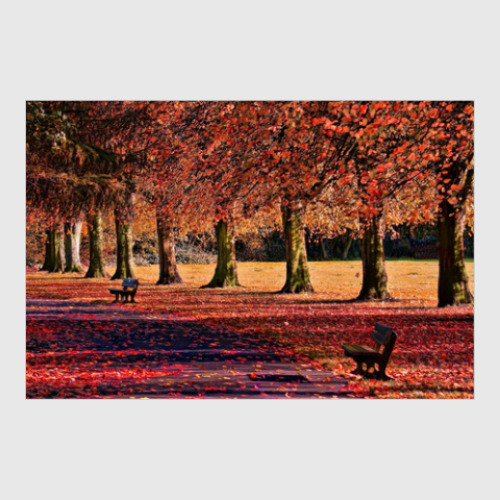 Постер с принтом Фото природы