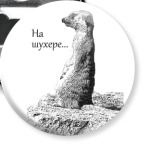 Сурикат