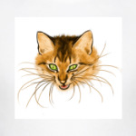 Бойцовый кот