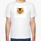 Бойцовый кот