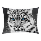 Снежный барс