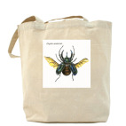 Холщовая сумка