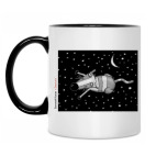 Черный енот