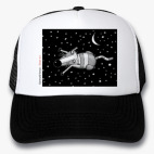 Кепки Trucker