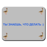 Люби Гусей!