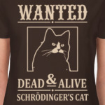 Кот Шрёдингера