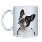 Французский бульдог