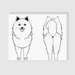 Два Самоеда