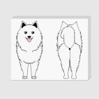 Два Самоеда