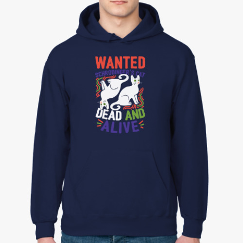 Толстовка худи с принтом Кот Шрёдингера