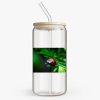 Банка с бамбуковой крышкой