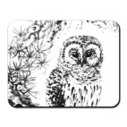 Сова на сосне