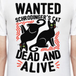 Кот Шрёдингера