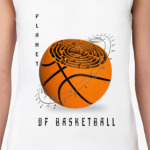 Планета баскетбола