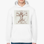 Кот Шрёдингера - да Винчи