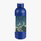 Термобутылка