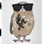 Совы. Совушки. Owl. Owls.