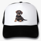 Кепки Trucker