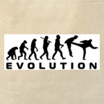 Evolution