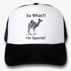 Кепки Trucker