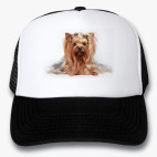 Кепки Trucker