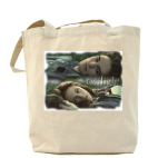 Холщовая сумка