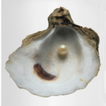 Морская тематика