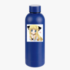 Термобутылка