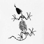 Скелет ящерицы