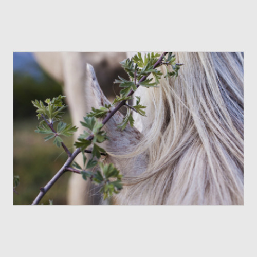 Постер с принтом Живые фактуры