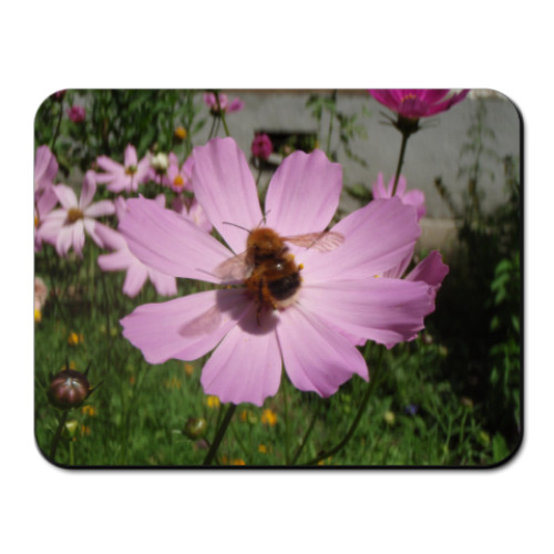 Коврик для мыши с принтом  'Пчелка'