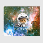 Котик космический