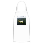 Кухонный фартук