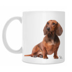 Кружка 330 мл