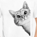 Любопытный котик