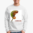 Свитшот