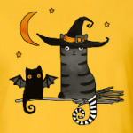 Черная кошка и магия