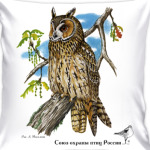 Ушастая сова