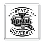 Магнит 6.5 x 6.5 см LSPU Owl