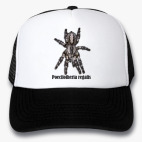 Кепки Trucker