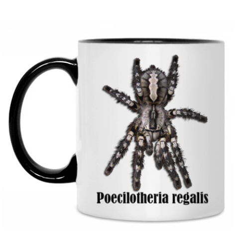 Кружка с принтом Regalis