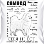 ЧАВО.Взрослый Самоед