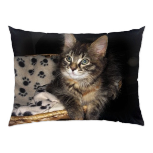 Подушка с принтом котенок