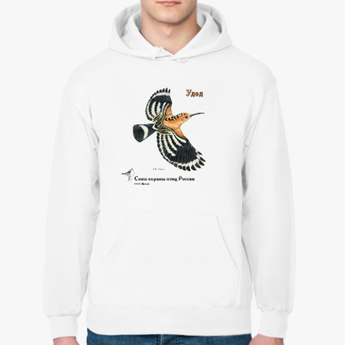 Толстовка худи с принтом Удод