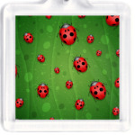 Божьи коровки