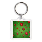 Божьи коровки